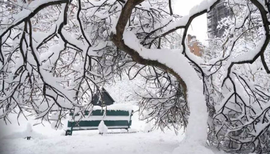 যুক্তরাষ্ট্রে তুষারপাতে ৫ সহস্রাধিক ফ্লাইট বাতিল